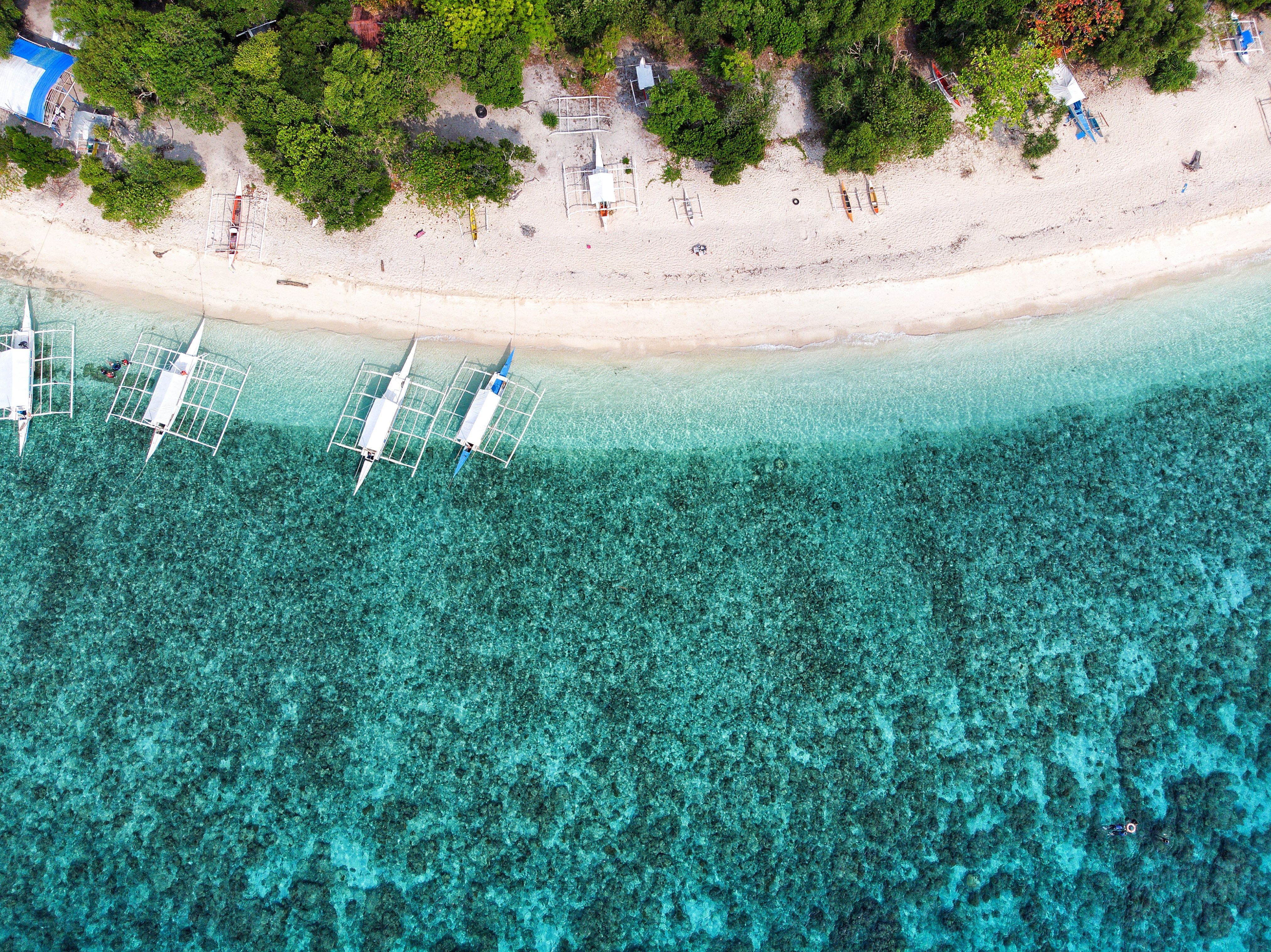 Panglao Island Beach